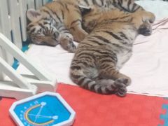 -泉城欧乐堡海洋极地世界