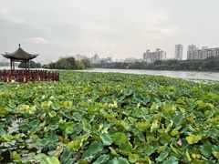 -南宁南湖公园