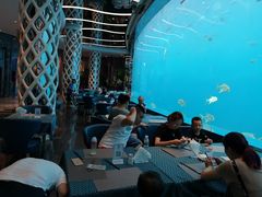 -瑞德姆美人鱼海底演艺主题餐厅(亚龙湾店)