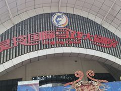 -灵玲国际马戏城