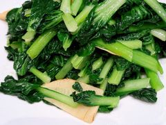 托苦菜笋片-宁海食府(大剧院店)