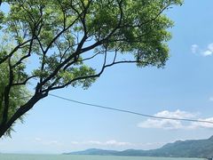 -海埂大坝