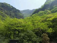 -北京上方山国家森林公园