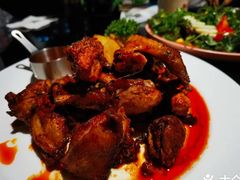 -百好乐宠物友好餐厅(朝外大街店)