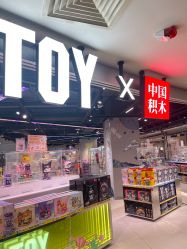 -中国积木(西单大悦城店)