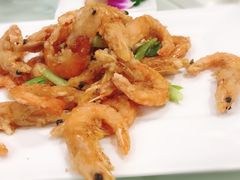 -丁老爷子苏香圆