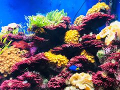 -海合安成都极地海洋公园
