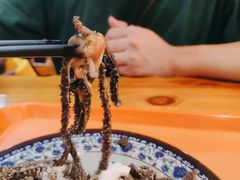 -爆肚冯(廊房二条店)