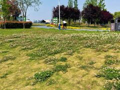 -两河城市森林公园