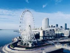 -琴岛之星摩天轮