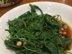 -巴依老爷新疆美食(望京小街店)