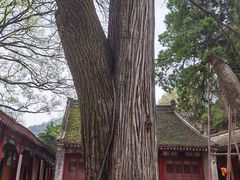-少华山国家森林公园