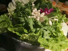 -哥老官重庆美蛙鱼头(宝山龙湖店)