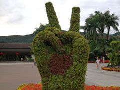 -呀诺达热带雨林