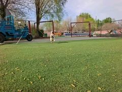 -宠物寄养训练学校