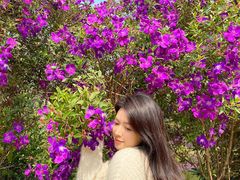 -南国桃园旅游度假区