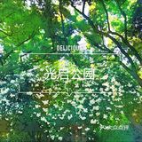 徐家汇光启公园