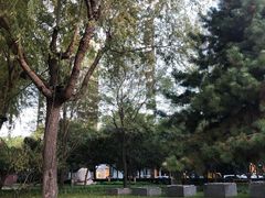 -唐城墙遗址公园