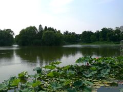 -新江湾城公园