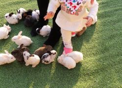 -萌宠亲子动物乐园(槐房万达店)