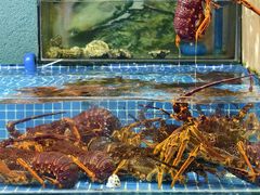 -粤盛海鲜平价店(洛溪食街店)