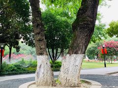 -常州古运河南大街文化旅游区-人民公园