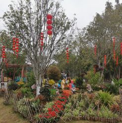 -福州儿童公园