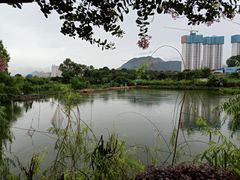-大王岭农庄