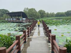 -长兴太湖图影湿地文化园