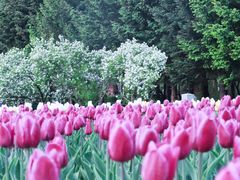 -长春公园(普阳街道)