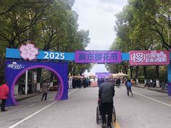 -高东镇樱花园
