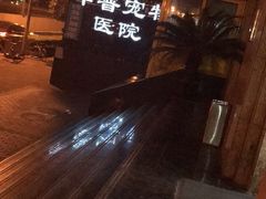 -申普宠物医院·心脏介入·心血管微创(总院)