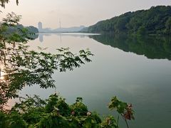 -月湖风景区