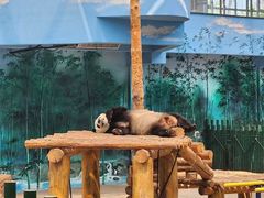 -沈阳森林动物园