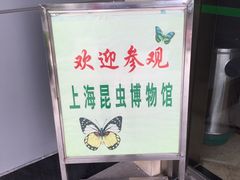 -上海昆虫博物馆