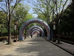 -洛阳市隋唐城遗址植物园