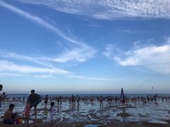 -金沙滩海水浴场(万平口景区4号门扬帆广场店)