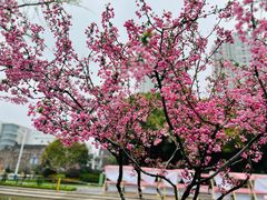 -荆川公园