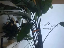 -春田皮肤管理中心品牌旗舰店
