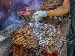 -周记老沈阳焦火鸡架