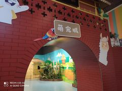 -巴克创奇梦工厂