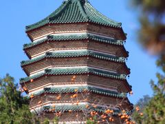 -八大处公园