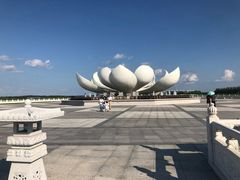 -呼兰河口湿地公园