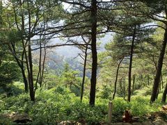 -泰山风景名胜区