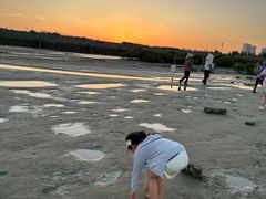 -北海金海湾红树林生态旅游区