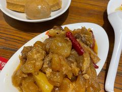 炖筋头巴脑-韩师傅老大同刀削面(北苑路店)