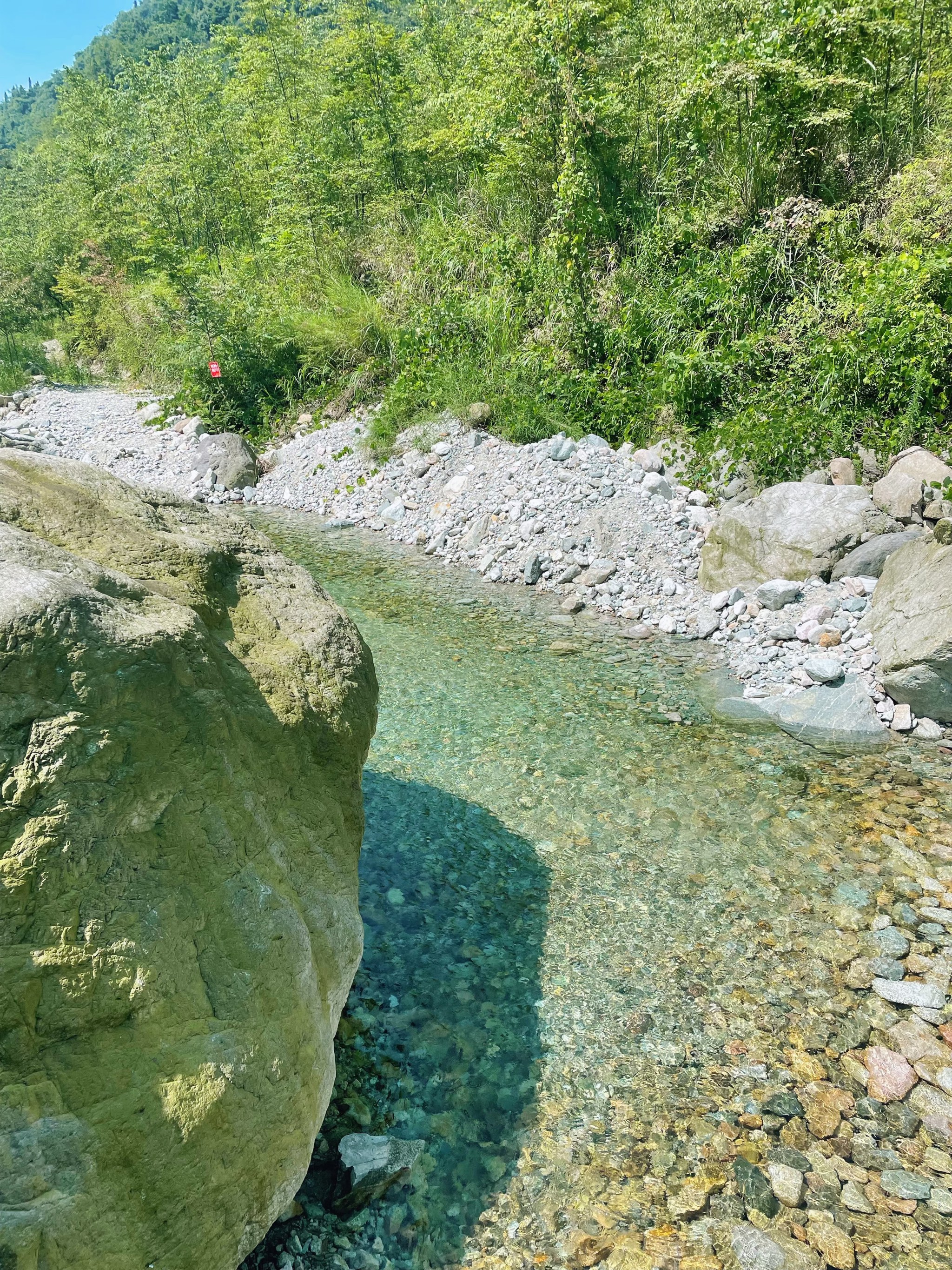 都江堰龙池风景区图片图片