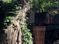 -西安国际创新人才交流中心•药浴温泉