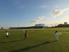 -春花秋色城市公园