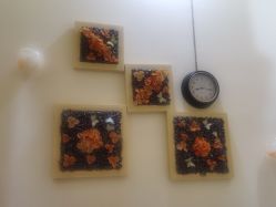 点击看大图 -芳朵美容养生SPA